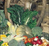 Mulgowie Real Farmers Markets - Darwin Tourism