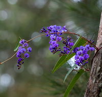 Mann River Nature Reserve - Darwin Tourism
