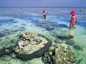 Southern Great Barrier Reef - Darwin Tourism 1