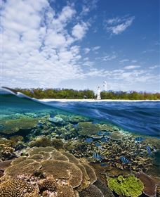 Southern Great Barrier Reef - Darwin Tourism 2