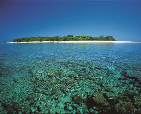 Southern Great Barrier Reef - Darwin Tourism 3