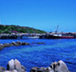 King Island Dairies - Darwin Tourism