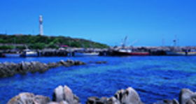 King Island Dairies - Darwin Tourism 0