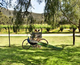 Stomp! Wines - Darwin Tourism 3