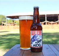 Feral Brewing Company - Darwin Tourism