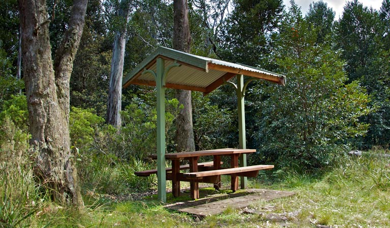 Belbora NSW Darwin Tourism