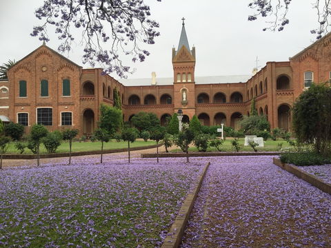 Sacred Spaces At The Sisters Of Mercy Convent - Darwin Tourism 12
