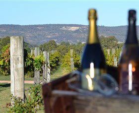 Ugly Duckling Wines - Darwin Tourism 1