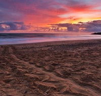 Mon Repos Beach - Darwin Tourism