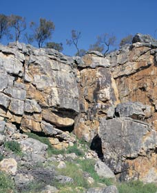 Badgingarra Nature Trail - Darwin Tourism 0