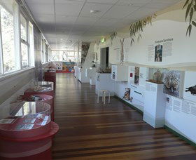 Kanyana Wildlife Rehabilitation Centre - Darwin Tourism 1
