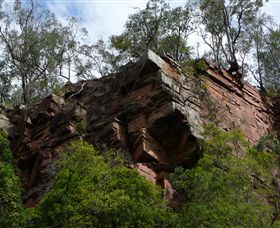 Mitchell River Walking Track - Darwin Tourism 2