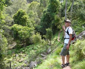 Mitchell River Walking Track - Darwin Tourism 1