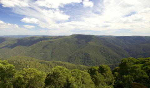 Barrington Tops National Park - Darwin Tourism 0