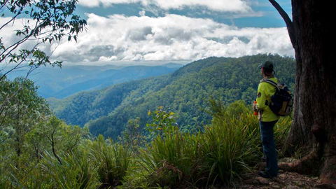 Barrington Tops National Park - Darwin Tourism 3