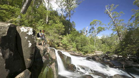 Barrington Tops National Park - Darwin Tourism 2