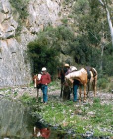 Yarramba Horse Riding - Darwin Tourism 0