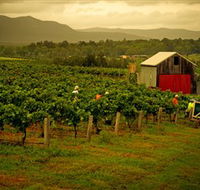 Around Hermitage Wine and Food Trail Hunter Valley - Darwin Tourism
