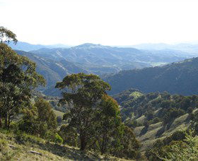 Barrington Tops State Forest - Darwin Tourism 2