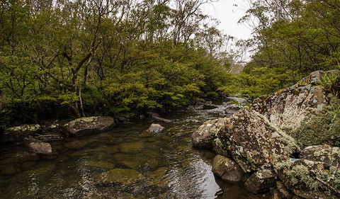 River Walking Track - Darwin Tourism 0