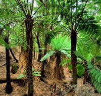 Pegarah Private Nature Reserve  Parenna Place - Darwin Tourism