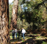 Tallaganda National Park - Darwin Tourism