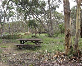Box Vale Picnic Area - Darwin Tourism 2