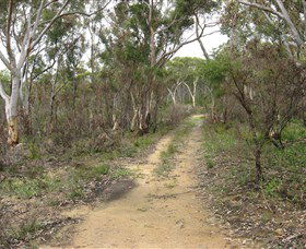 Box Vale Picnic Area - Darwin Tourism 4