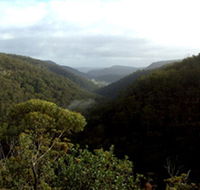 Nattai Gorge Lookout - Darwin Tourism