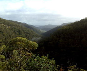 Nattai Gorge Lookout - Darwin Tourism 0