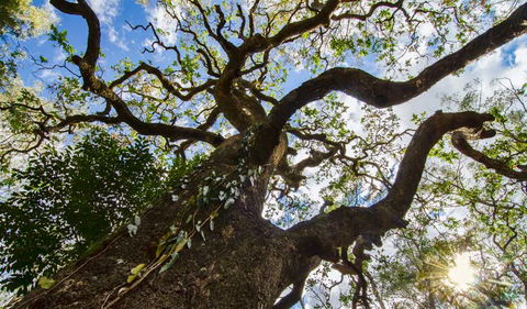 Woko National Park - Darwin Tourism 1