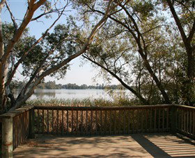 Sale Common Wetlands - Darwin Tourism 1