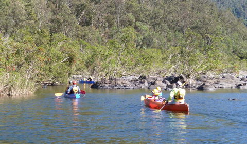 Nymboida National Park - Darwin Tourism 1