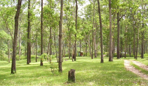 Nymboida National Park - Darwin Tourism 2