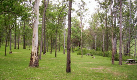 Nymboida National Park - Darwin Tourism 3