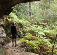 Dharug National Park - Darwin Tourism