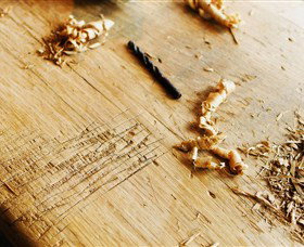 Sally Beresford Antiques/French Farmhouse Tables - Darwin Tourism 2