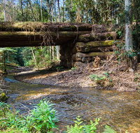 Myrtle Scrub scenic drive - Darwin Tourism