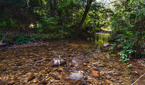 Myrtle Scrub Scenic Drive - Darwin Tourism 2