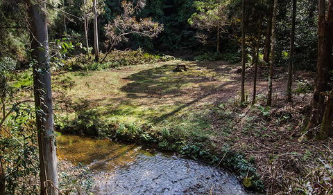 Myrtle Scrub Scenic Drive - Darwin Tourism 3