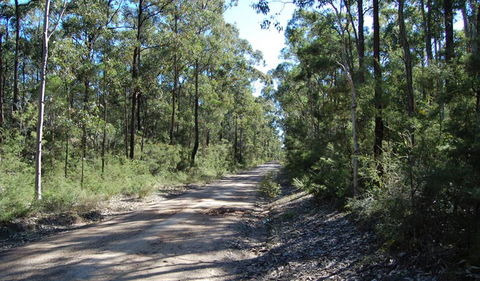 Werakata National Park - Darwin Tourism 2
