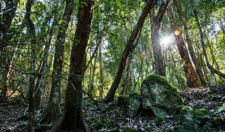 Copeland NSW Darwin Tourism