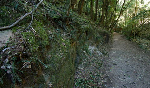 Hidden Treasure Track - Darwin Tourism 0