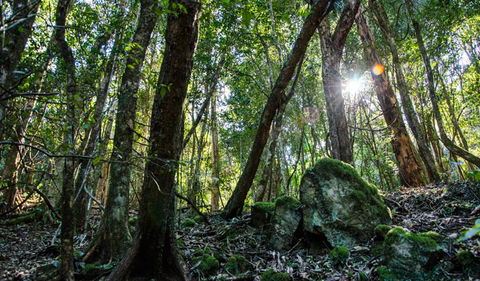 Hidden Treasure Track - Darwin Tourism 1