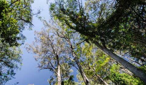 Hidden Treasure Track - Darwin Tourism 3