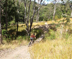 The Steps Mountain Bike Park - Darwin Tourism 2