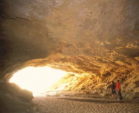 Stockyard Gully National Park - Darwin Tourism 1