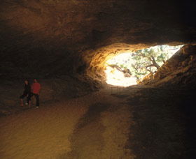 Stockyard Gully National Park - Darwin Tourism 3