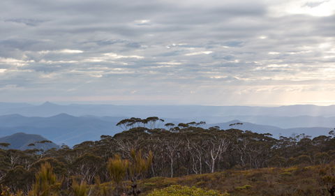 Mount Budawang Trail - Darwin Tourism 0