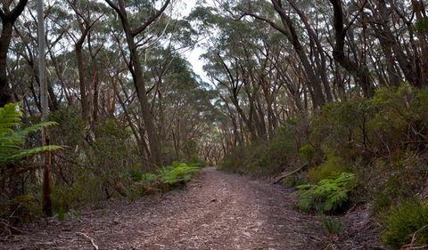 Mount Budawang Trail - Darwin Tourism 1
